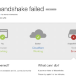 riseprofitfx.net scam