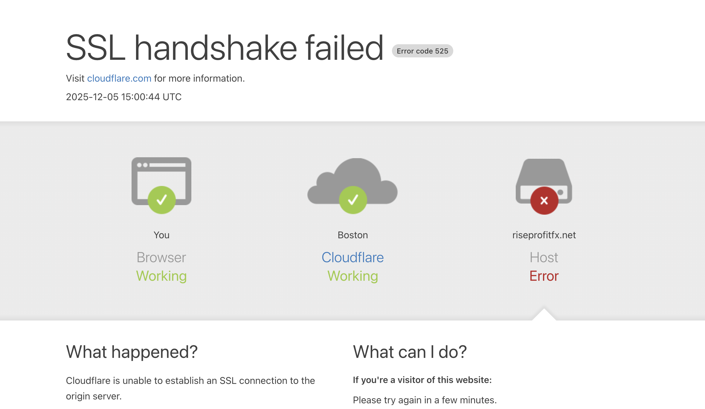 riseprofitfx.net scam