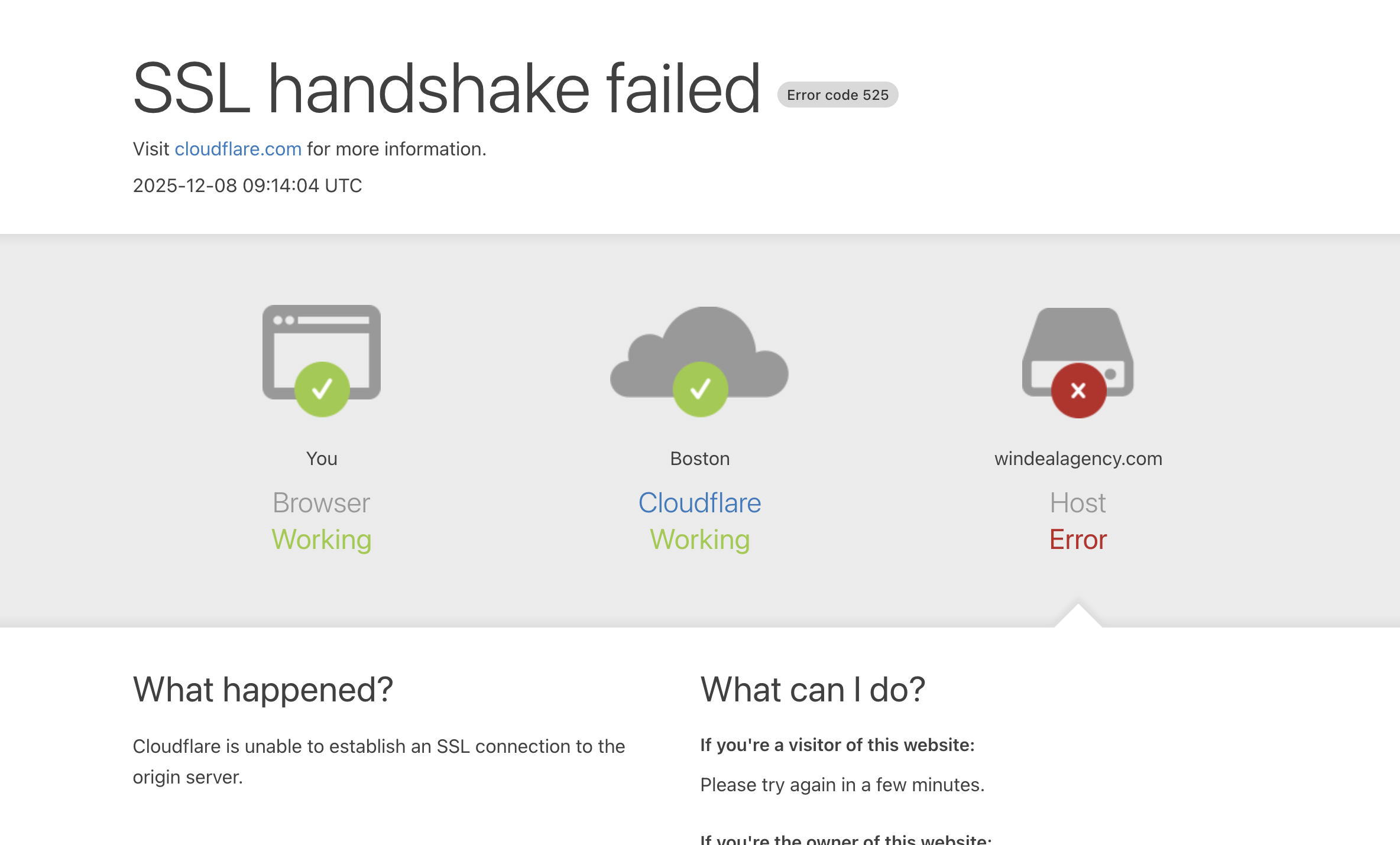 windealagency.com scam