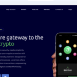 lockcoin.net scam