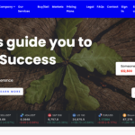 multichain-insight.com scam