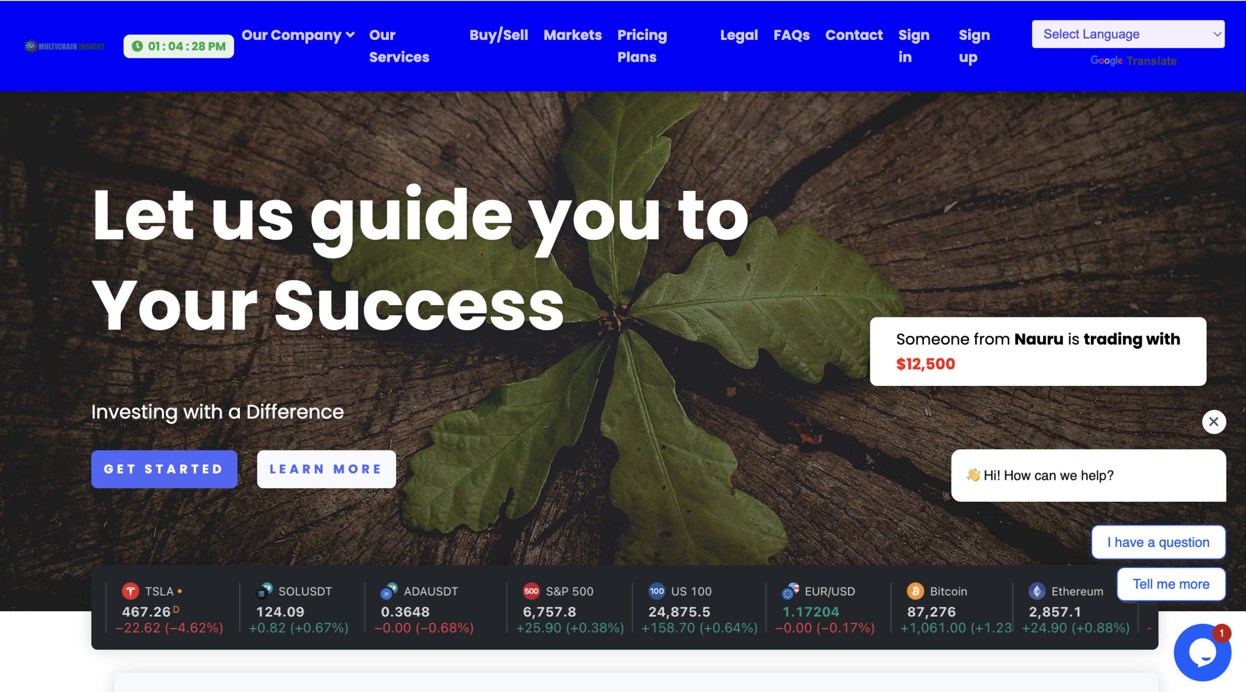 multichain-insight.com scam