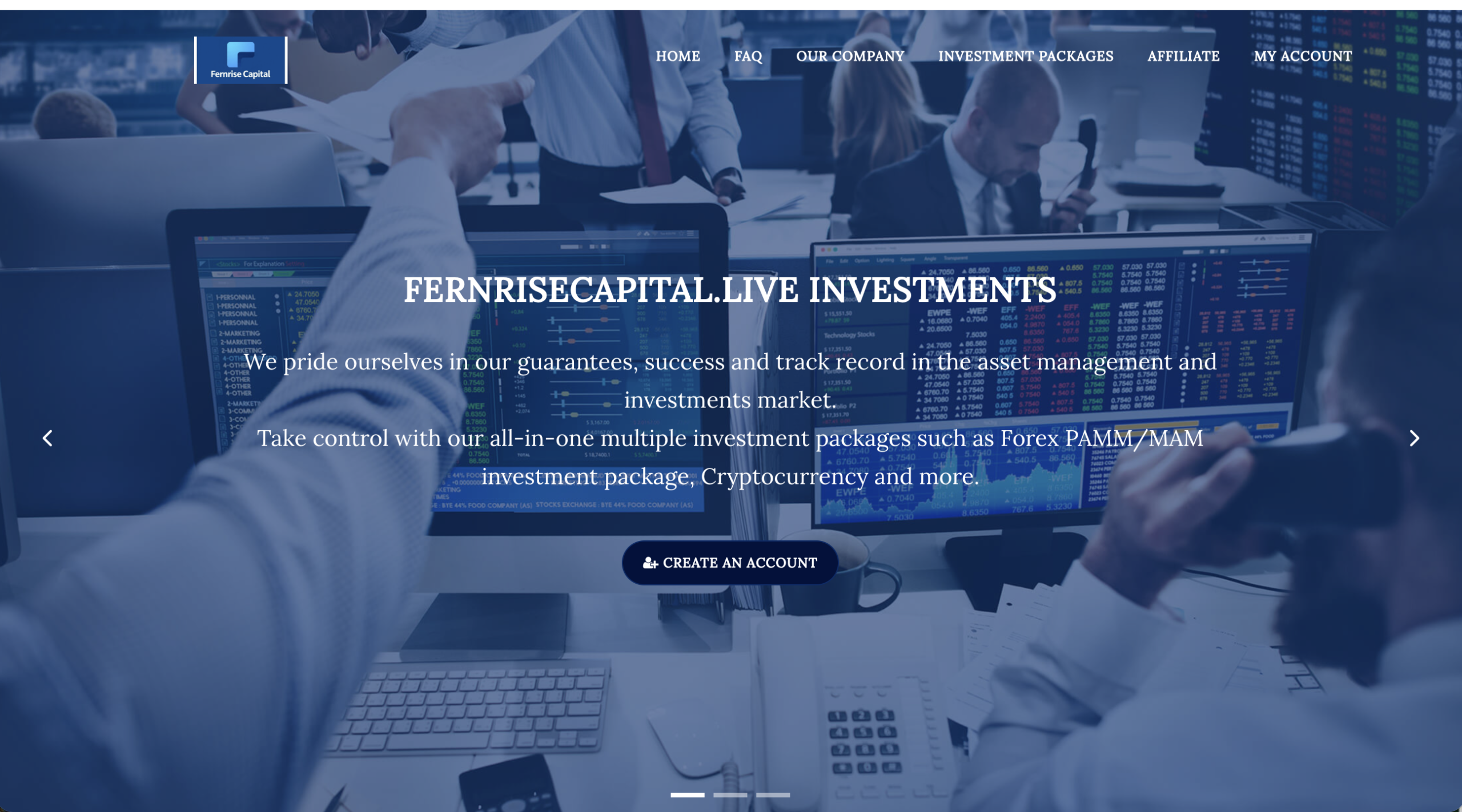 Fernrisecapital scam review