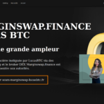 marginswap.finance scam