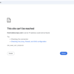 Freetradeeuropa scam review