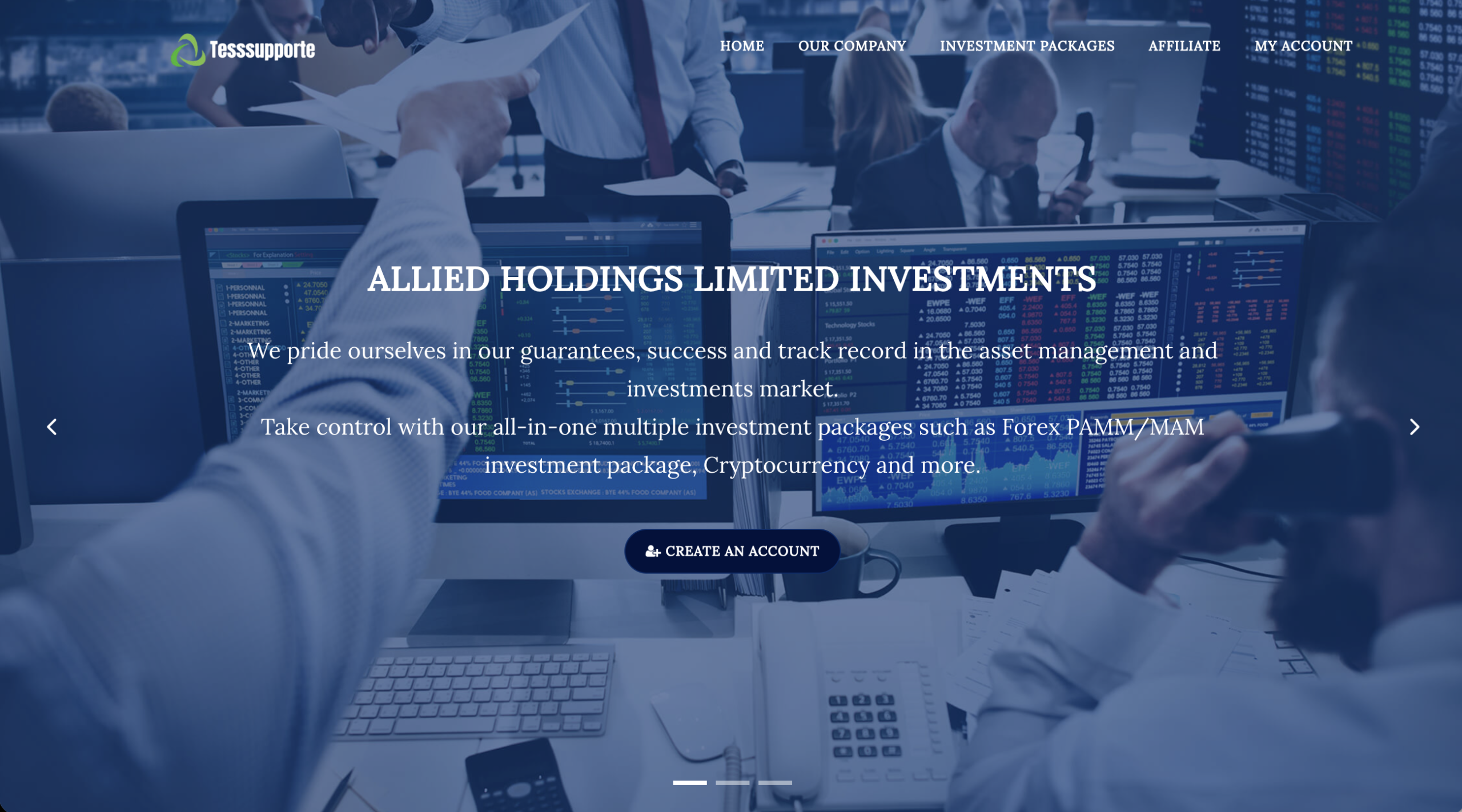 tesssupporter scam review