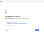 nerinemininghub scam review