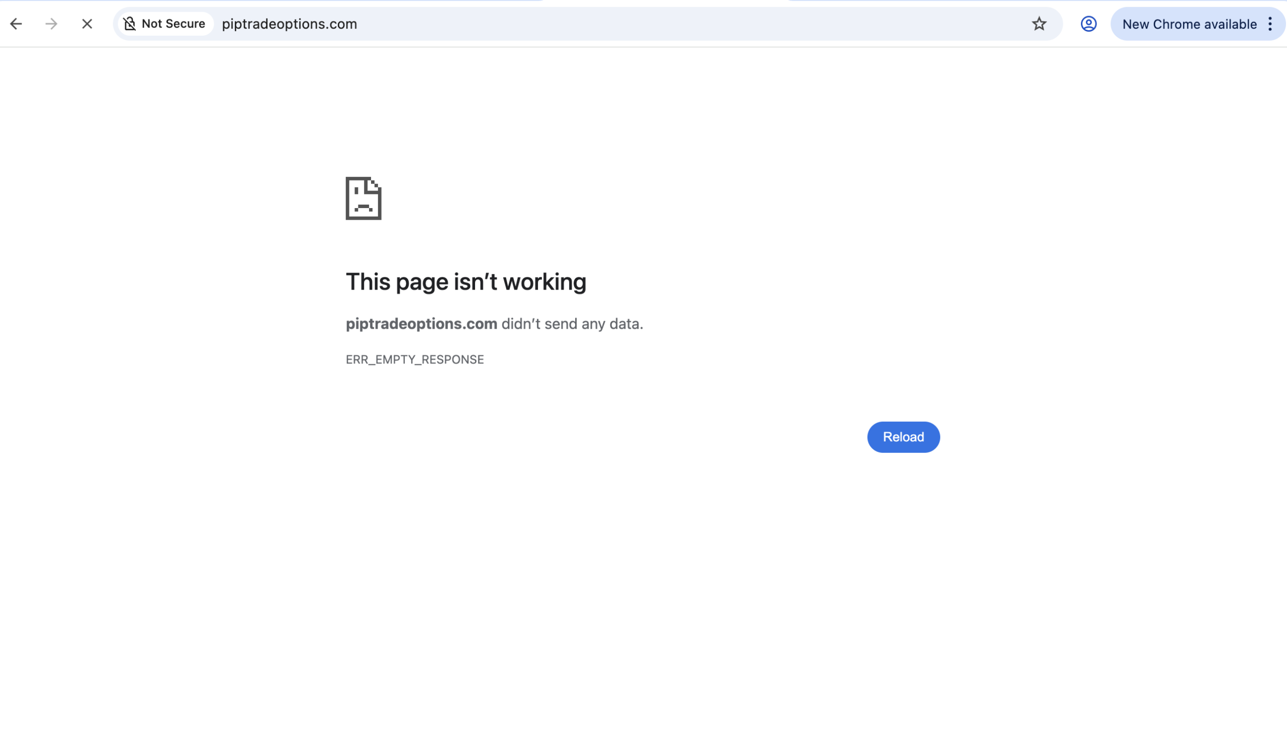 piptradeoptions scam alert