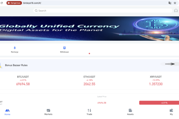 birdeye18 scam review