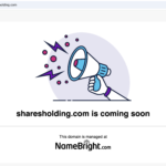 SharesHolding platform overview