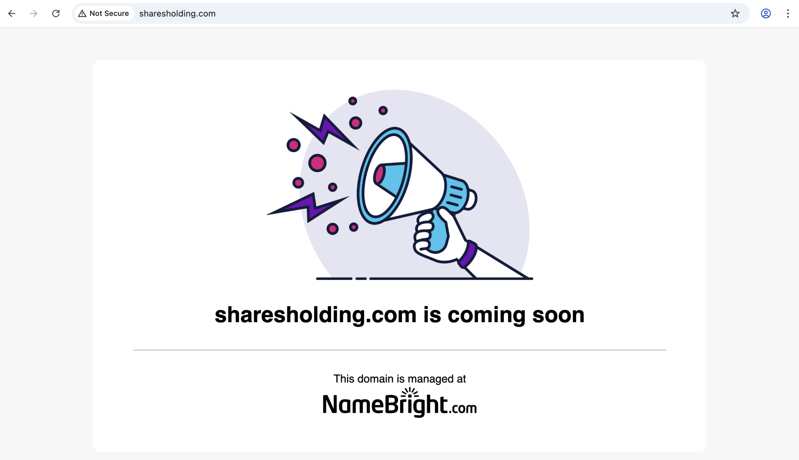 SharesHolding platform overview