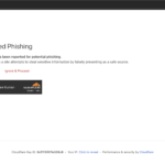 dsj158.com scam review