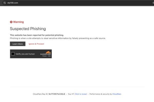dsj158.com scam review