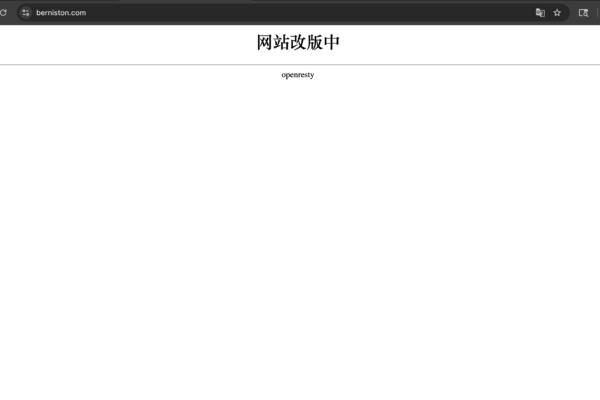 berniston.com scam review