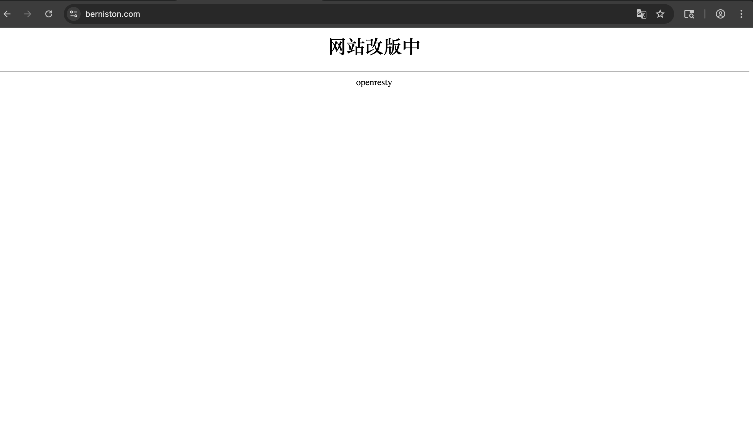 berniston.com scam review