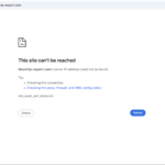 bluechip-expert.com scam review