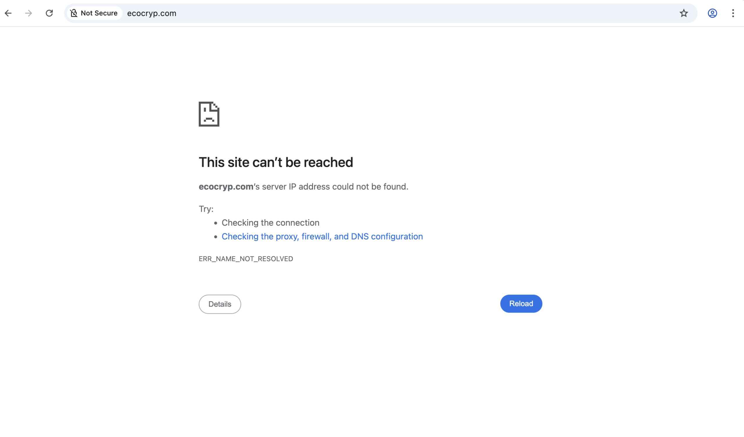 ecocryp.com platform review