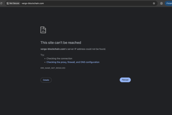 vergo-blockchain.com review