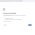verifyiconchoice.com platform review