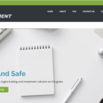 teslabinvestment.com platform overview