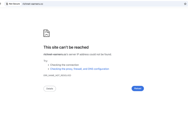 richnet-earners.cc platform review