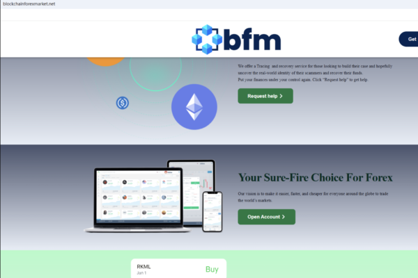 blockchainforexmarket.net review