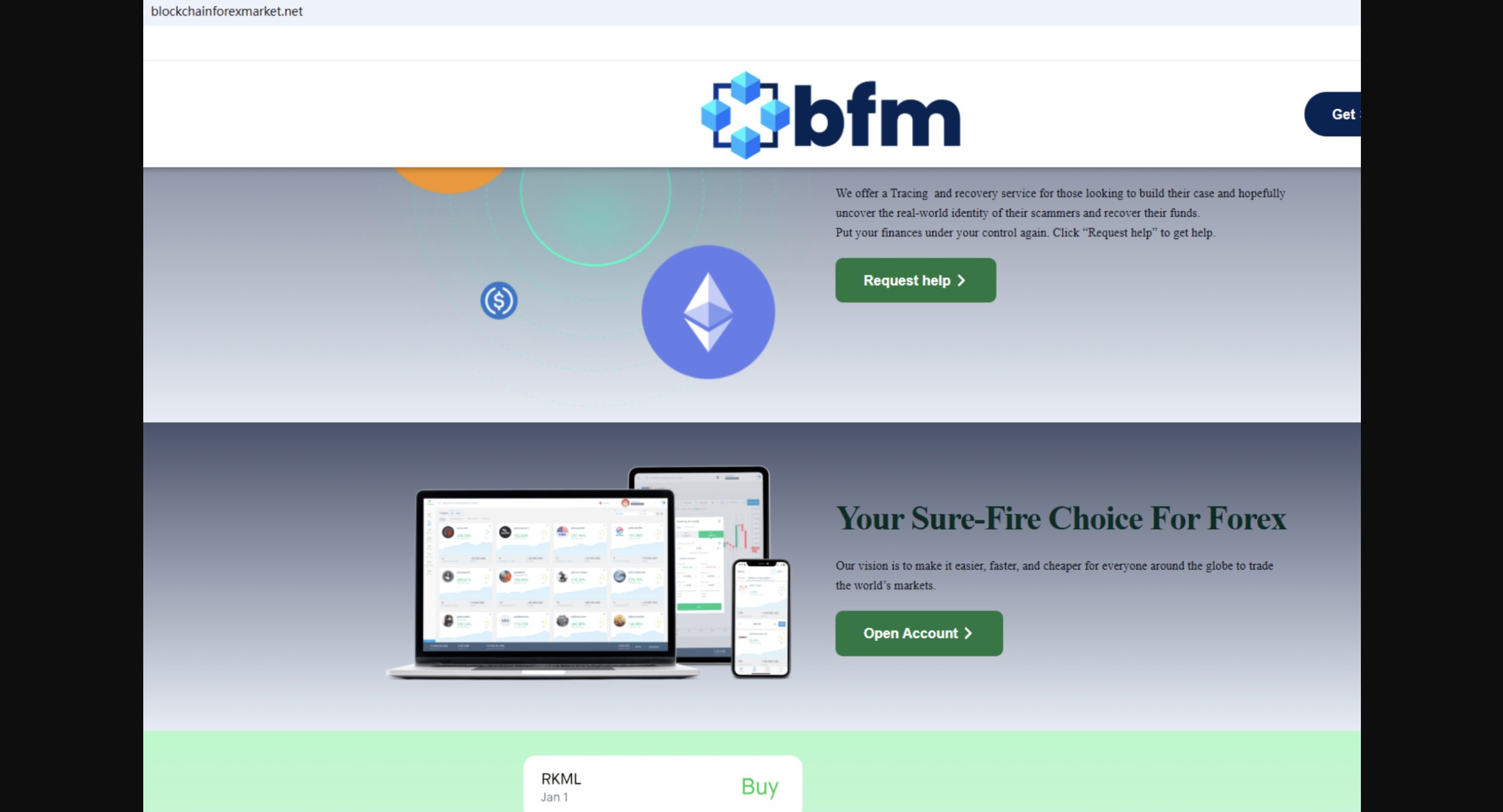 blockchainforexmarket.net review