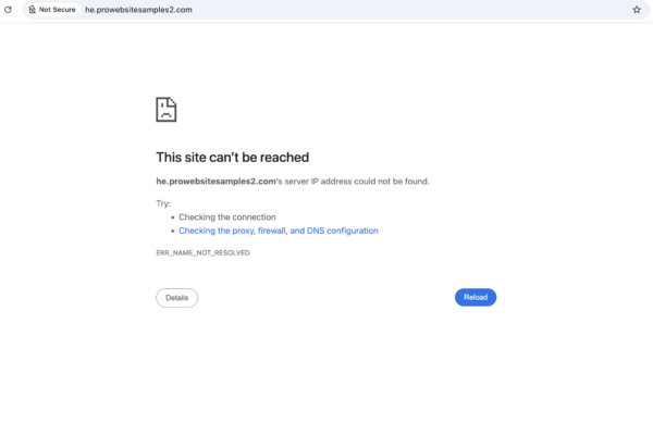 he.prowebsitesamples2.com review