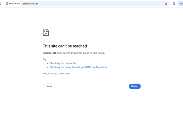 islamic-nft.net review