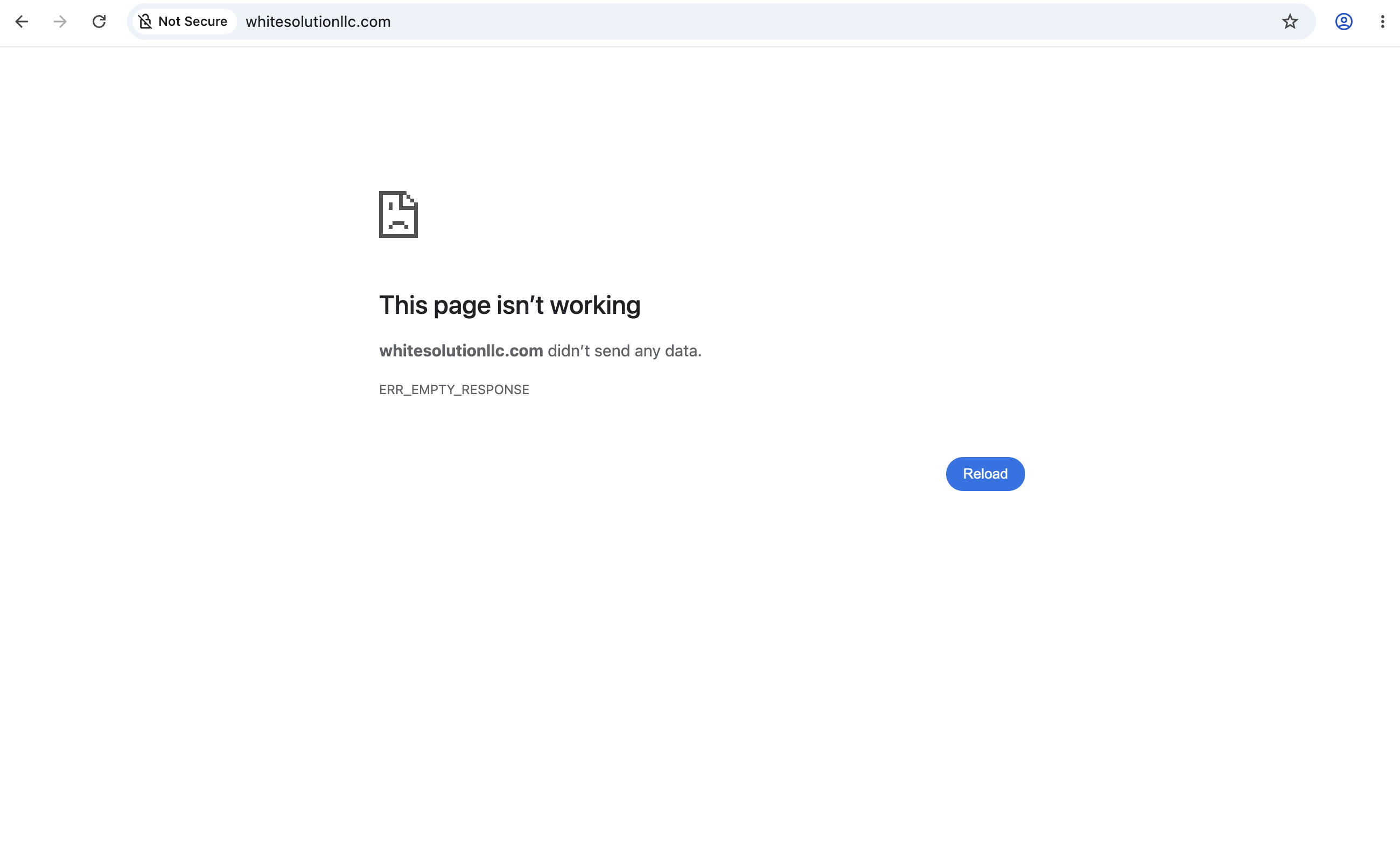 whitesolutionllc.com review