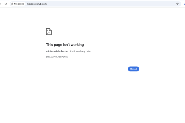 miniassetshub.com scam review