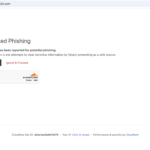 birdeye23.com scam review