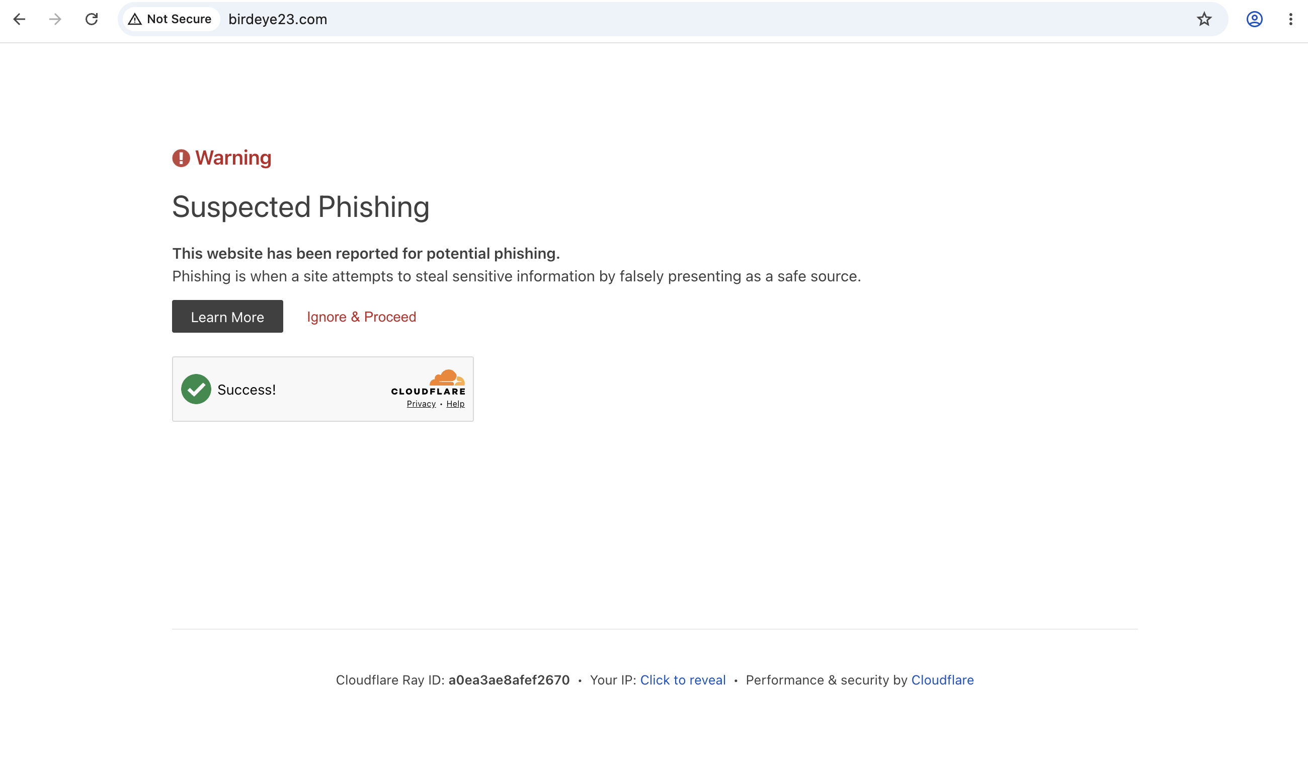 birdeye23.com scam review